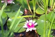 Sympathisches Zuhause für kleine und große Familien