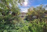 Bauträgerliegenschaft; Winzerhof-Grundstück mit Entwicklungspotenzial in Stammersdorf; Laut Studie 1.550m² erzielbare Wohnnutzfläche möglich