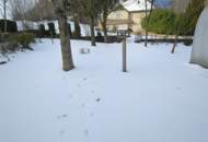 Einfamilienhaus in Gresten mit traumhaften Ausbilck