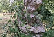 ,,Kleines Haus und großer Obstgarten in Hornstein!"