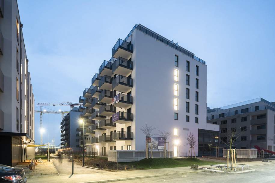 3-Zimmer Dachterrassenwohnung inkl. Komplettküche und Kellerabteil / K2-54, Wohnung-miete, 1.199,01,€, 1220 Wien 22., Donaustadt
