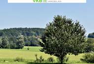 OSTERMIETHING | GUMPLING: Ihr zukünftiges Bauerlebnis im Grünen! Viel Platz für Visionen in traumhafter Lage!