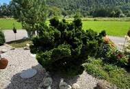 Haus mit HERZ, toller Garten, große Terrasse, herrlicher Ausblick!