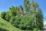 Fernblick garantiert! - Hangbaugrundstück mit Baumbestand aufgeschlossen