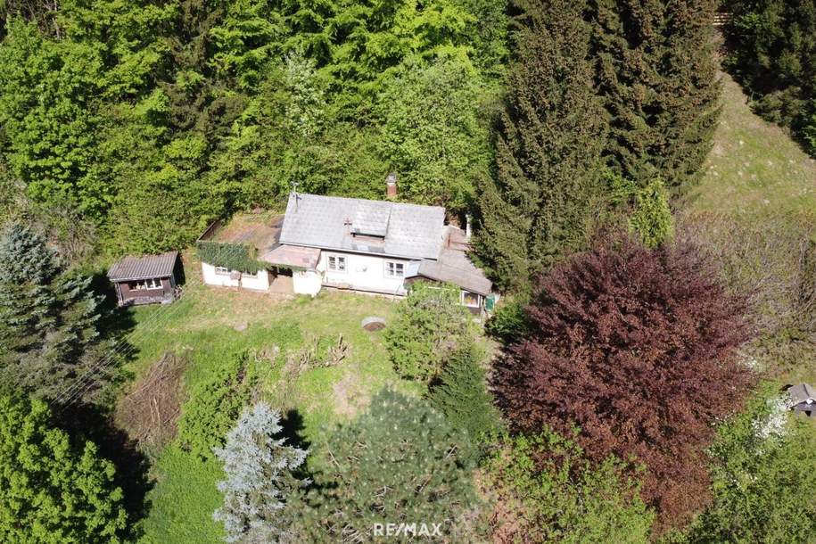 Baugrundstück mit alten Holzblockhütten, Grund und Boden-kauf, 129.000,€, 8680 Bruck-Mürzzuschlag