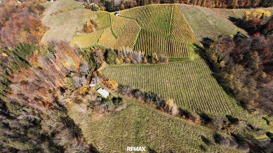 Preisanpassung !! Weingarten mit Landwirtschaft und Altbestand in Kranach, Gemeinde Gamlitz