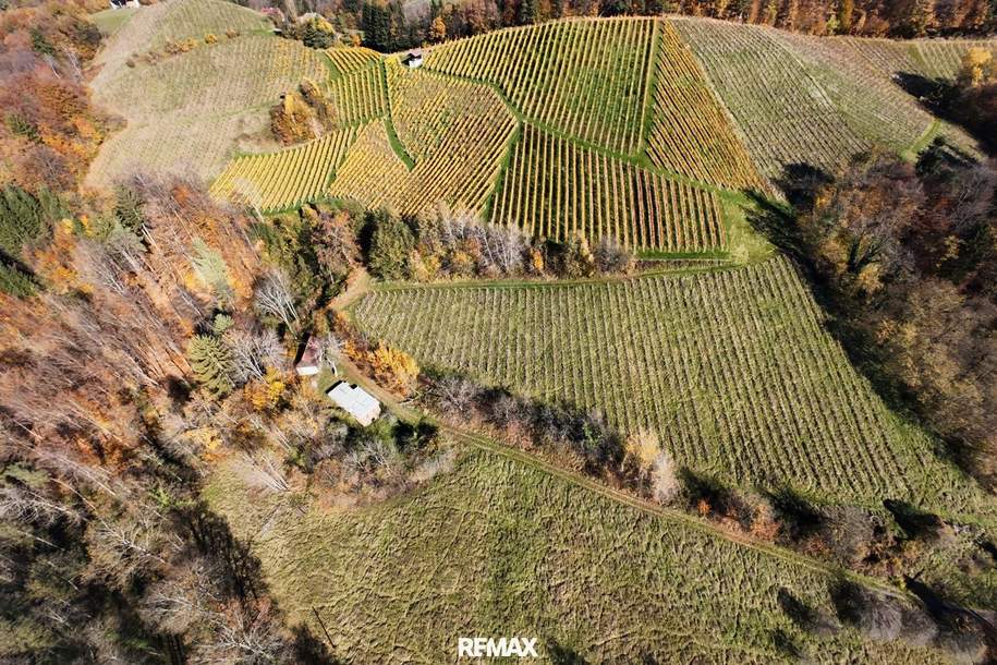 Preisanpassung !! Weingarten mit Landwirtschaft und Altbestand in Kranach, Gemeinde Gamlitz, Gewerbeobjekt-kauf, 666.000,€, 8462 Leibnitz