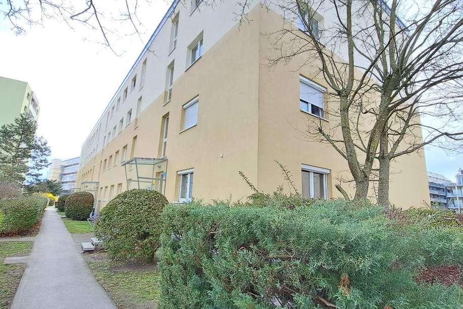 Neuer Preis! Sanierungsbedürftige Wohnung, Nähe Universitätsklinikum, Wohnung-kauf, 118.000,€, 3100 Sankt Pölten(Stadt)