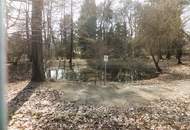 GEDIEGENE LANDVILLA MIT PARKÄHNLICHEM NATURPARADIES!