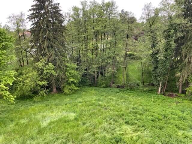RARITÄT IN GRAZ-GEIDORF: Ihr Sonnengrundstück am begehrten Rosenberg!