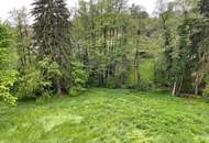 RARITÄT IN GRAZ-GEIDORF: Ihr Sonnengrundstück am begehrten Rosenberg!
