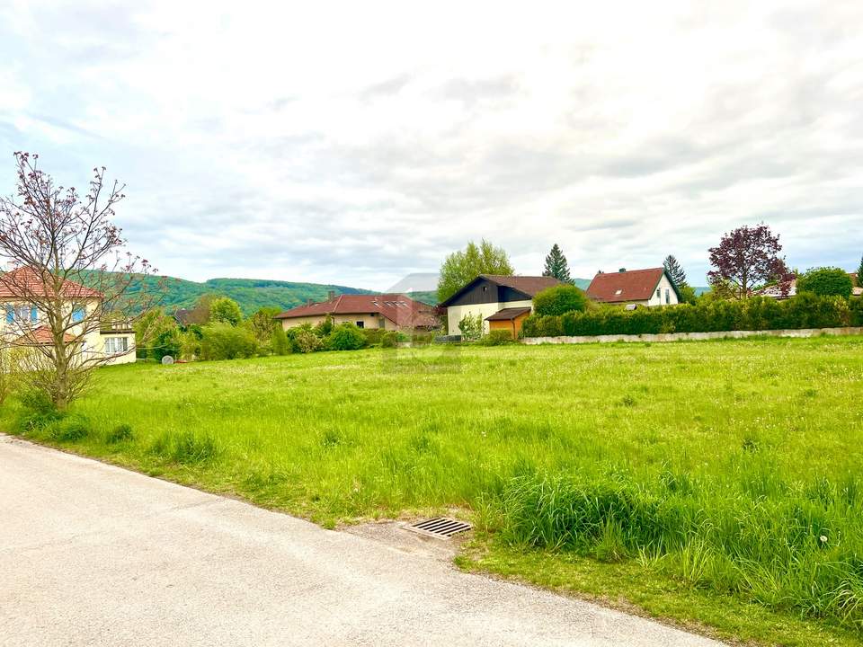EIN TRAUM NATUR NAHE WIEN
