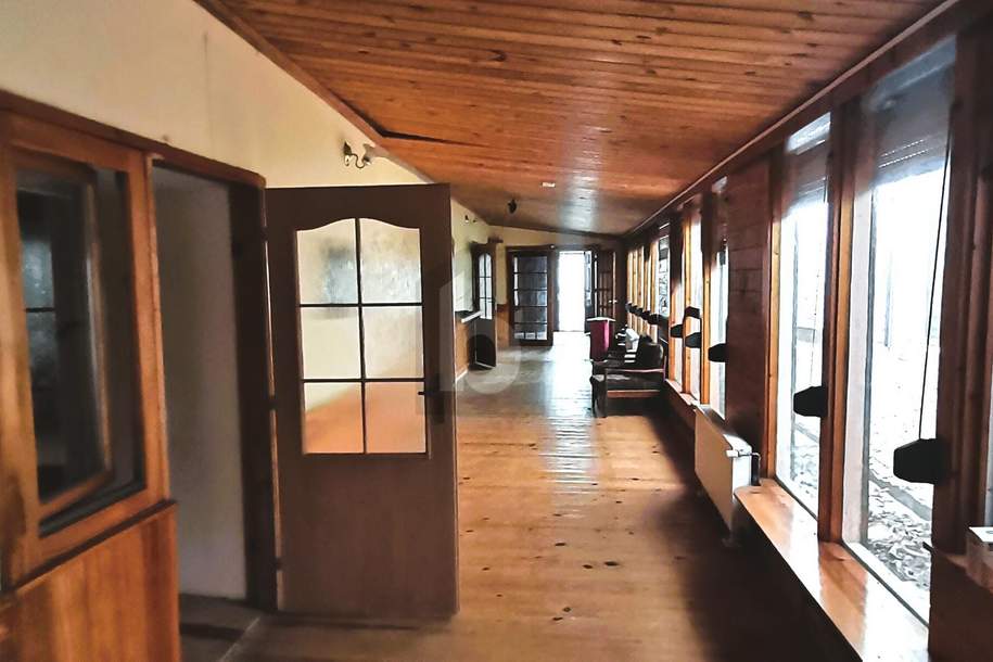 MEHRERE WOHNEINHEITEN MIT EHEMALIGER TISCHLEREI - WOHNEN UND ARBEITEN, Haus-kauf, 210.000,€, 2424 Neusiedl am See