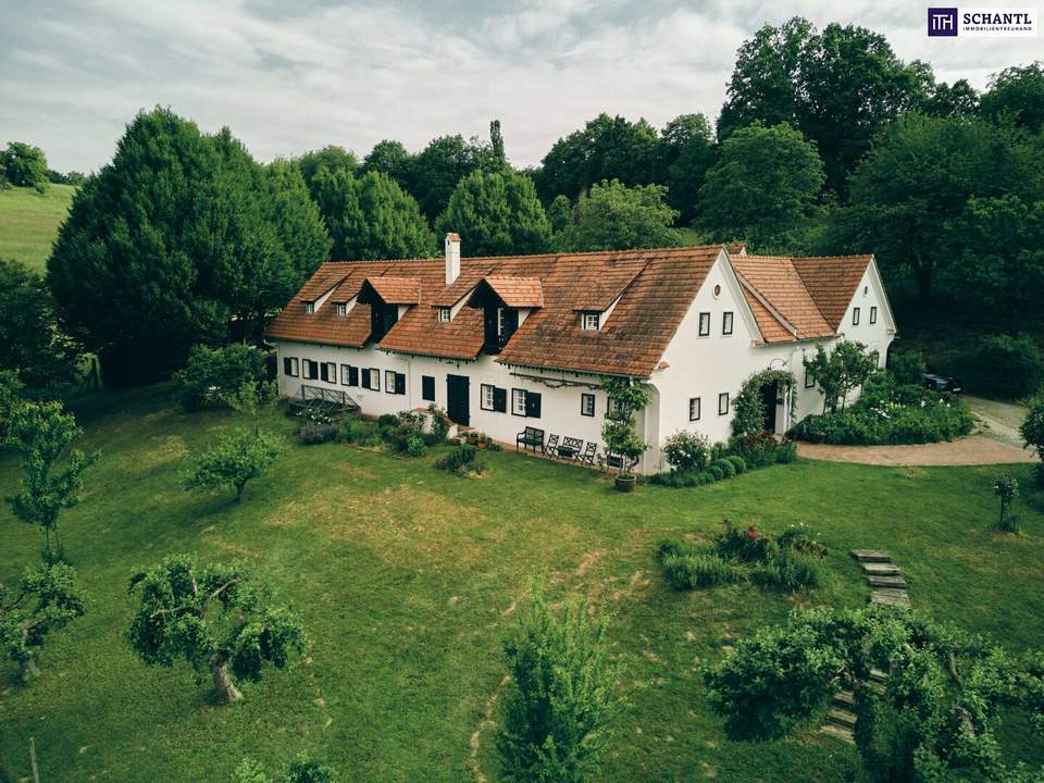 TRAUMHAFT! ECHTES SCHMUCKSTÜCK! Historischer Vierkanthof in der Thermenregion Bad Loipersdorf – Wo Natur, Geschichte und Exklusivität aufeinandertreffen