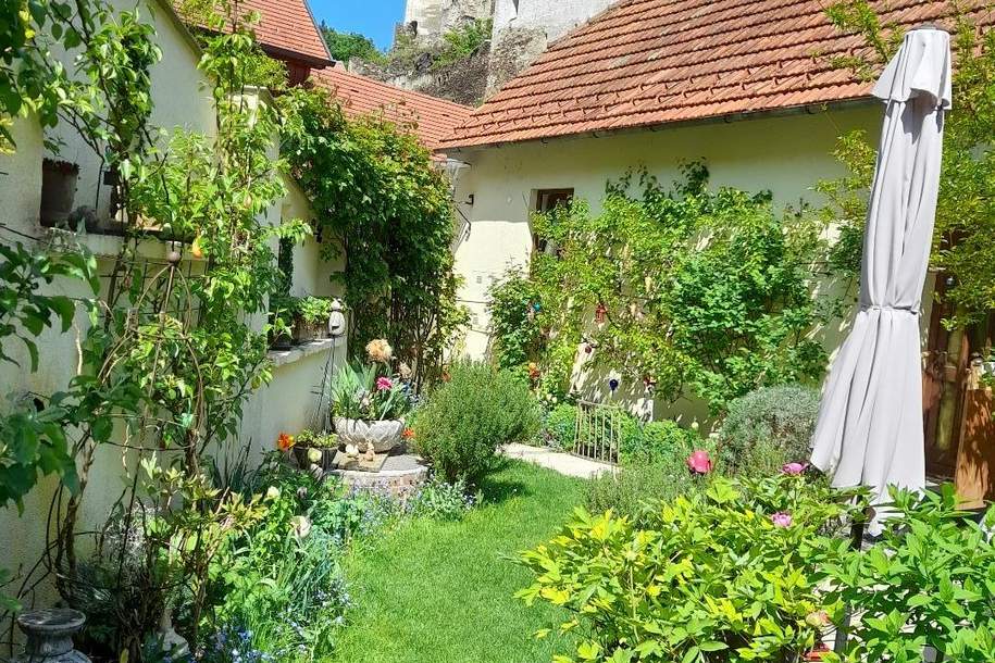 Schnäppchen: Feines Haus in Rehberg/Nähe Krems!, Haus-kauf, 319.000,€, 3500 Krems an der Donau(Stadt)