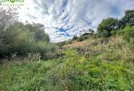 Südhang-Traum: Großzügiges Doppelgrundstück – sonnig & ruhig mit herrlichem Weitblick