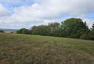 Landwirtschaftliche Grundstücke samt Wald in Stadtschlaining