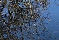 Kleines Knusperhaus mit Wohnrecht!