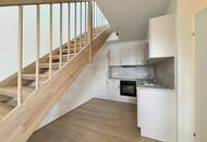 Penthouse mit riesiger Dachterrasse nahe Kagran und Alte Donau - Erstbezug