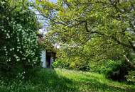 Rarität in Thermennähe! Altes Bauernhaus in unverbaubarer, ruhiger, sonniger Lage mit großem Baulandgrundstück, Wald und Wiese