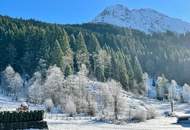 "Mein Zuhause“ – Ihr neues Eigenheim: 4-Zimmer-Wohnung in Kleinarl!