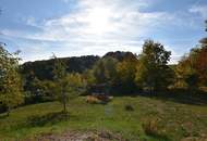 Große Liegenschaft mit 2 Häusern mit Ganztagssonne, Freiland und eigenem Wald in Ruhe-, wie Aussichtslage