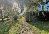 Traumhaftes großes Baugrundstück in Zwentendorf !