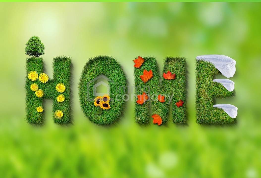 Schöner ebener Baugrund in Sulz im Burgenland