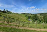 INVESTOREN aufgepasst! Weingut mit Gästezimmer, drei Betriebswohnungen in Leutschacher Aussichtslage PROVISIONSFREI