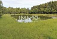 Großes Grundstück mit Fischteich und Badeteich, Erholungsanlage, Freizeitparadies mit viel Potenzial