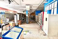 Großzügiges Geschäftslokal in Kritzendorf – 390m², Parkplätze &amp; Stadtblick!
