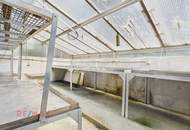 Einmalige Chance in Hard! Traumhaftes Einfamilienhaus mit Gestaltungspotential zum attraktiven Preis