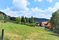 Baugrundstücke mit Wald und eigener Quelle - Nähe Golfclub Erzherzog Johann