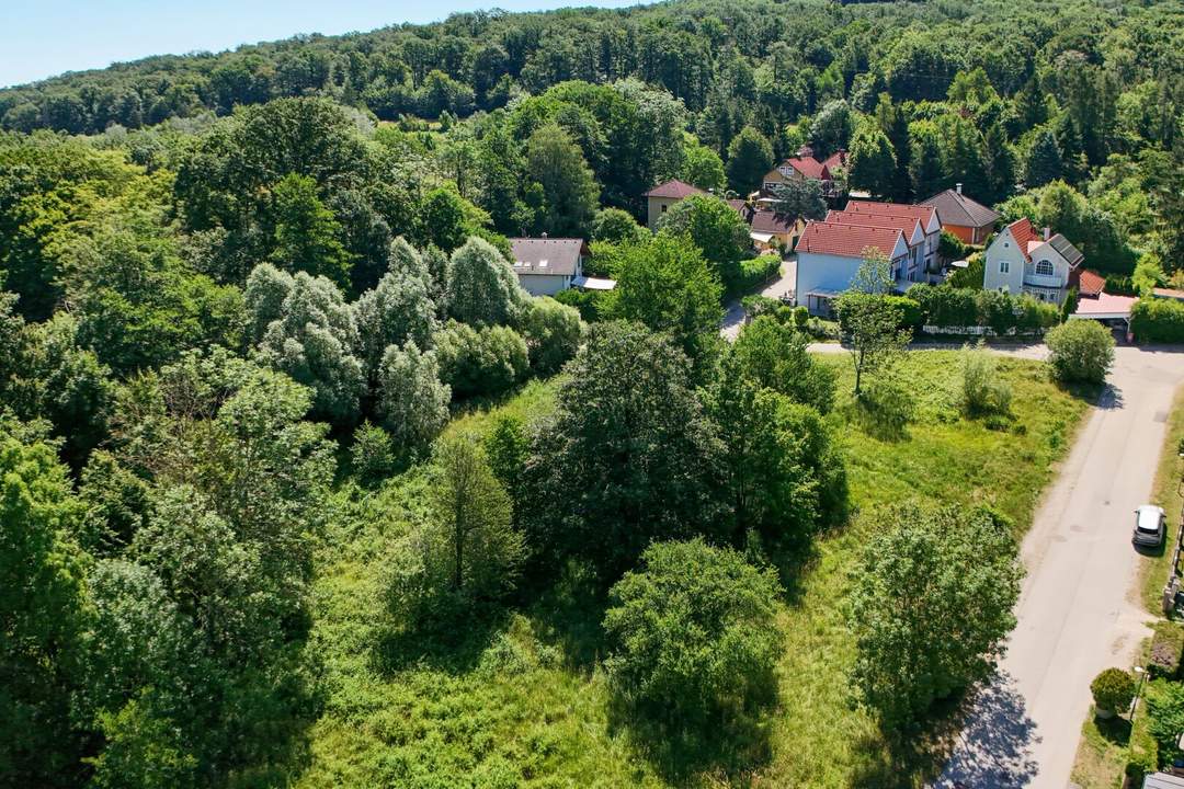 Wohnen, wo der Wienerwald beginnt – sonniger Baugrund in Purkersdorf-Baunzen