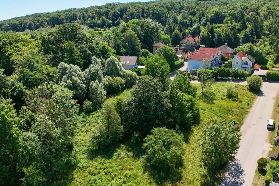Wohnen, wo der Wienerwald beginnt – sonniger Baugrund in Purkersdorf-Baunzen, Grund und Boden-kauf, 299.000,€, 3002 Sankt Pölten(Land)