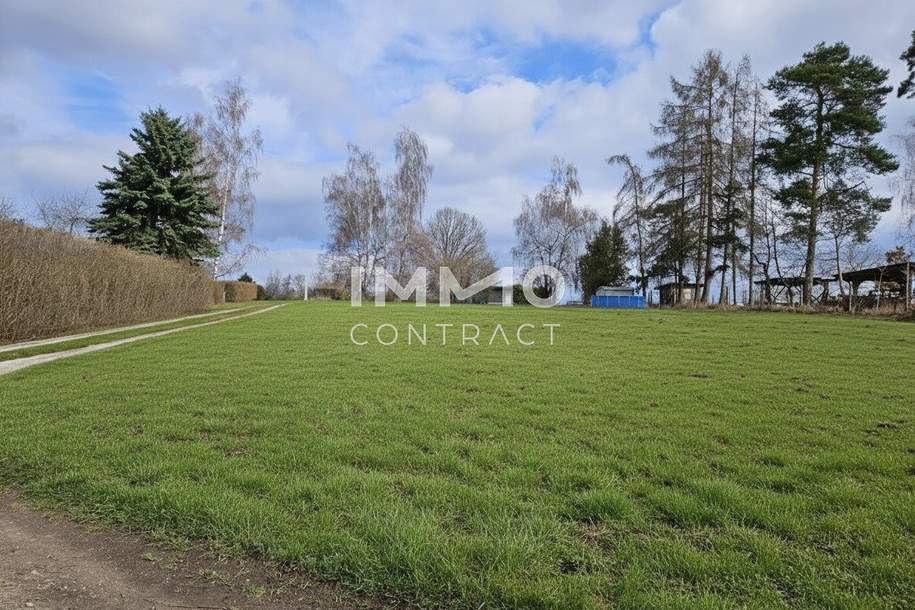 Grundstück in Waidhofen an der Thaya - 2525 m² mit Widmung LN bzw. Grünland-Kleingärten, Grund und Boden-kauf, 31.900,€, 3830 Waidhofen an der Thaya