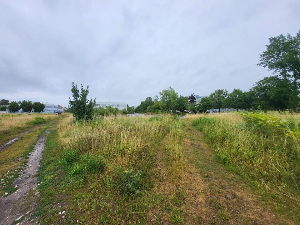 Baugrundstück Wels-Ost Ginzkeystraße