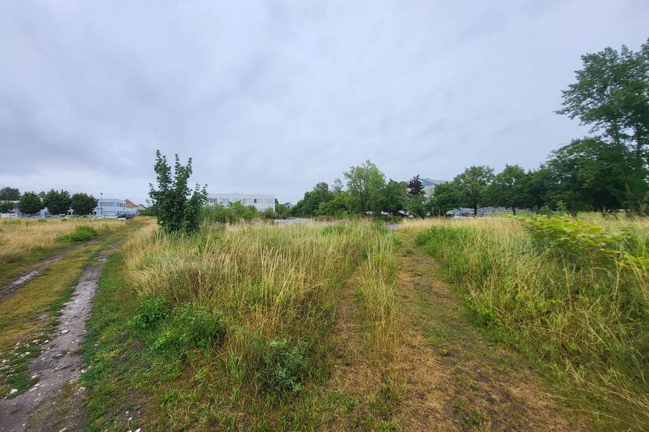 Baugrundstück Wels-Ost Ginzkeystraße, Grund und Boden-kauf, 2.794.425,€, 4600 Wels(Stadt)