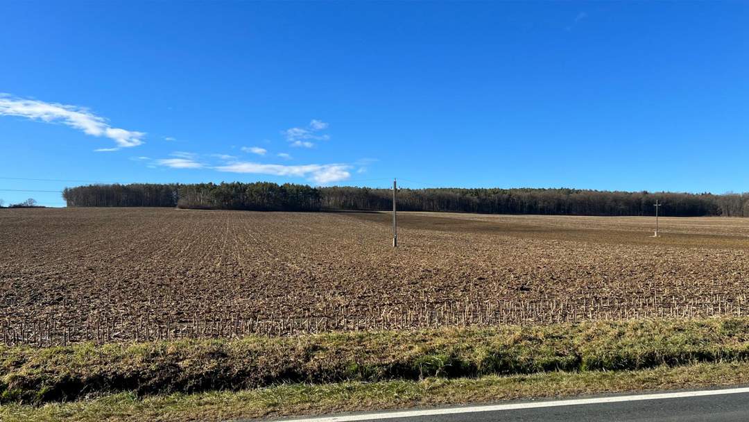 PROVISIONSFREI f. d. Käufer! GROSSE landwirtschaftliche Flächen (ca. 27 ha!) und ein Waldgrundstück! BEZIRK OBERWART!