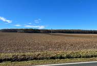 PROVISIONSFREI f. d. Käufer! GROSSE landwirtschaftliche Flächen (ca. 27 ha!) und ein Waldgrundstück! BEZIRK OBERWART!