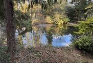 Fischer Paradies - Blockhaus mit Fischteich