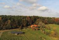 Großzügiges Einfamilienhaus in idyllischer Ruhe/- Alleinlage