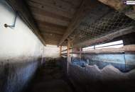 HISTORISCHER HOF IN DER GRÜNEN STEIERMARK: Ein Platz für große Pläne – von Landwirtschaft bis Pferdeparadies