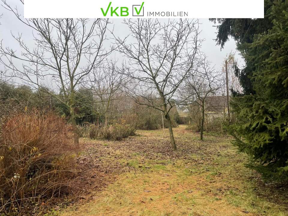 Platzreiches Grundstück in Spattendorf - Gemeinde Alberndorf in der Riedmark