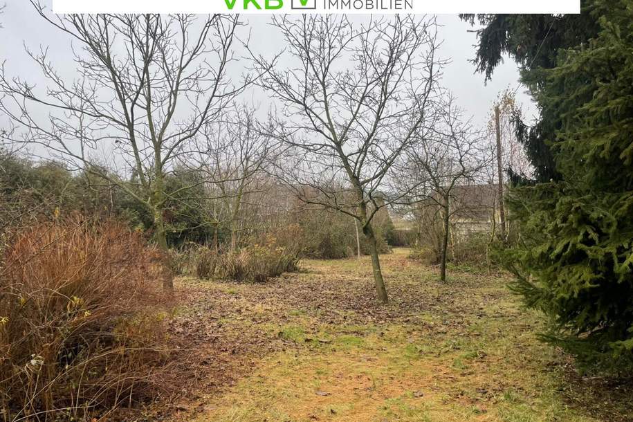 Platzreiches Grundstück in Spattendorf - Gemeinde Alberndorf in der Riedmark, Grund und Boden-kauf, 230.000,€, 4211 Urfahr-Umgebung