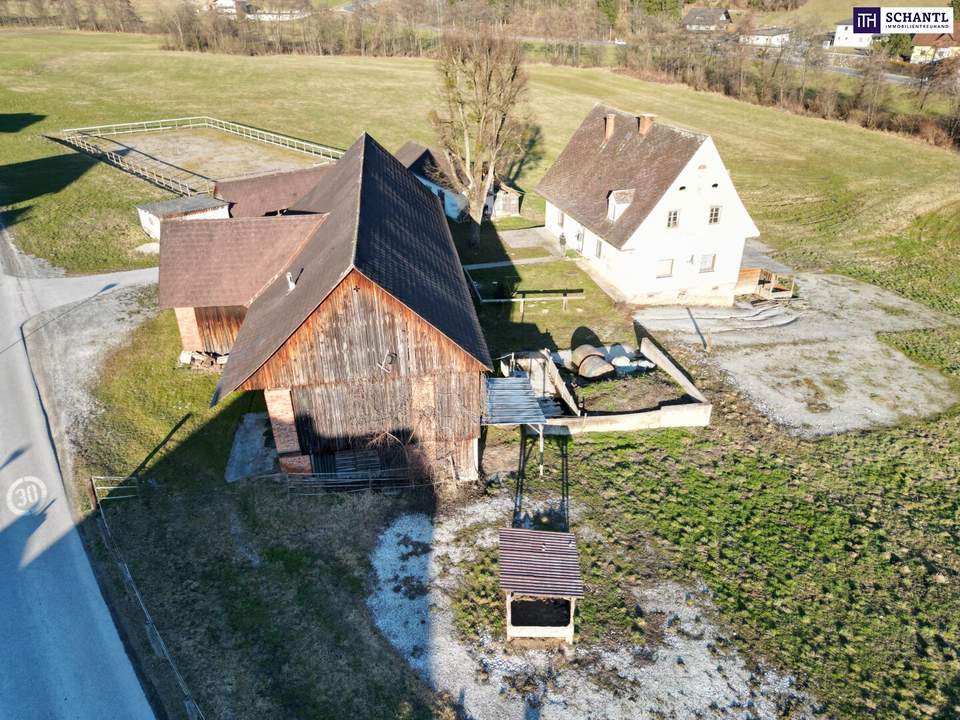 HISTORISCHER HOF IN DER GRÜNEN STEIERMARK: Ein Platz für große Pläne – von Landwirtschaft bis Pferdeparadies!