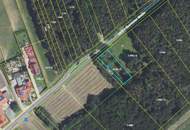 sonniges Grundstück ohne Bauzwang