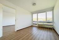 Helle 2 Zi. Wohnung mit großer Loggia und Garagenstellplatz | Wohnen am Alterbach