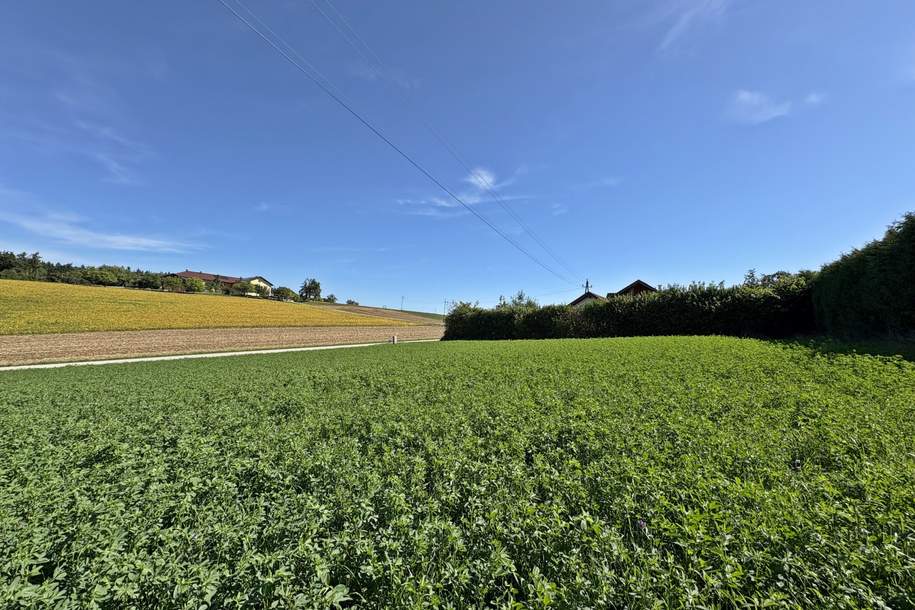 Attraktives Projektgrundstück in herrlicher Grünlage!, Grund und Boden-kauf, 487.660,€, 4624 Wels-Land