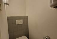 REPRÄSENTATIVE UND GROSSZÜGIG ANGELEGTE BÜRO- UND WOHNFLÄCHEN IN DEN PRUNKRÄUMEN, DER BELETAGE EINES FRÜHBAROCKPALAIS IN ZENTRALER INNENSTADTLAGE, CA. 200 METER VOM STEPHANSPLATZ ENTFERNT